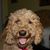 Louise Hawthorne's profile image