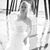 Emelie Rios's profile image