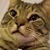 Jennifer Castro's profile image