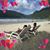 Pam Tookhan's profile image