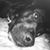 Mandy Steude Boorom's profile image
