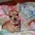 Gwen Dupree's profile image