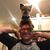 Nicholas Martinez's profile image