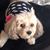 Angelica Robles's profile image