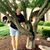 Cynthia Tyre's profile image