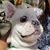 Tom Doll's profile image