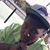 Chelton Machava's profile image