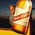 Robert Wilcox's profile image