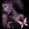 Christina Delfendahl's profile image