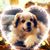 Martha E. Gordon Schmidt's profile image