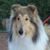 Elaine Nance's profile image