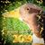 Dave Davis's profile image
