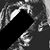 Braden Rapp's profile image