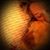 Heather Phillips's profile image
