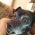 Stephanie Shaver's profile image