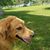 Valerie Robbins's profile image