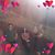 Raven Willcox's profile image