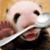 Teri Bonett Schiech's profile image