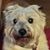 Kim Sowles's profile image