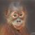 Penny Pierce's profile image