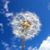 Kathy Bass McGee's profile image