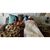 Tori Grace Waege's profile image