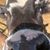 Kamron Burkley Stevens's profile image
