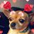 Kim Miller Pollock's profile image