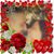 Debbie Steele's profile image