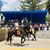 Luis Antonio Tobar Palma's profile image