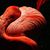 Sucely J Murillo's profile image