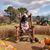 James Holscher's profile image