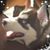 Mike Wheeley's profile image