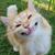 Kathy Artman Rearick's profile image