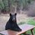 Jim McKinney's profile image
