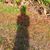 Sheri Spain's profile image