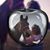 Wendy Petersen Sherker's profile image