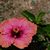 Christine Hage's profile image