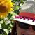 Christa Culligan's profile image