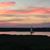 Susan Reese McCutchan Shepherd's profile image