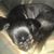 Nancy Young's profile image