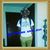 Anna Brown's profile image