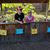 Rayleen Sutliff's profile image