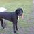 Nicole Baxter Hughes's profile image