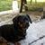 Marty Hiles's profile image