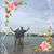 Tammy Taylor's profile image