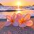 Lisa Olson's profile image