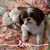 Nancy Uscier-Deol's profile image