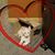 Missy Gravenish Fossum's profile image