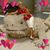 Janice Creager's profile image